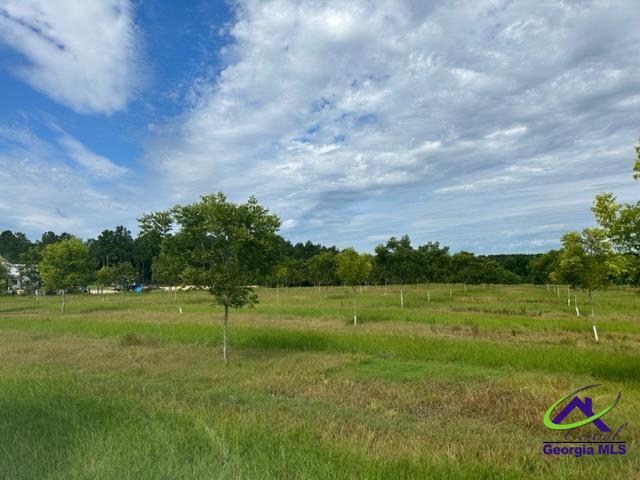 Henderson Springs Road Elko, GA 31025 - Photo 5 of 24