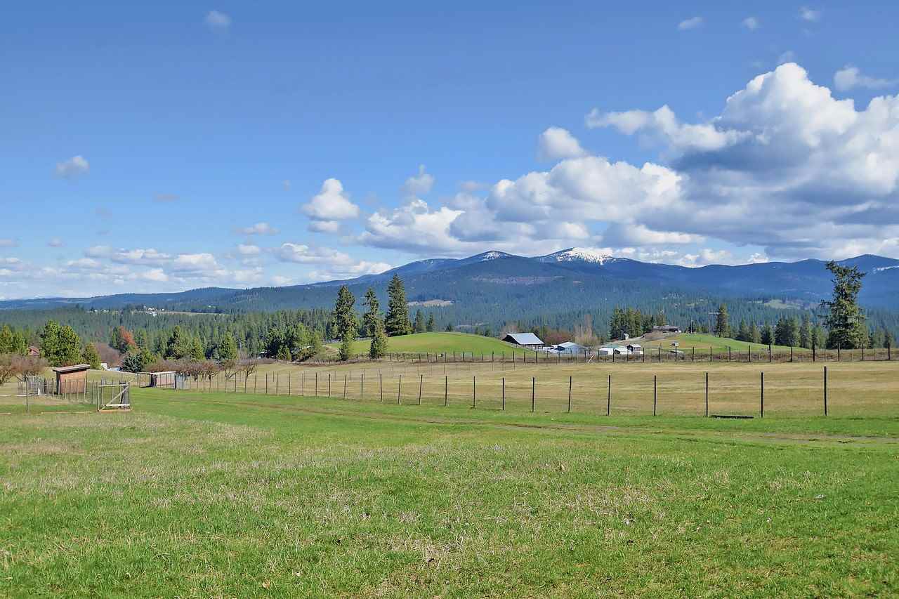 11726 East Day Mt Spokane Road Mead, WA 99021 - Photo 14 of 20