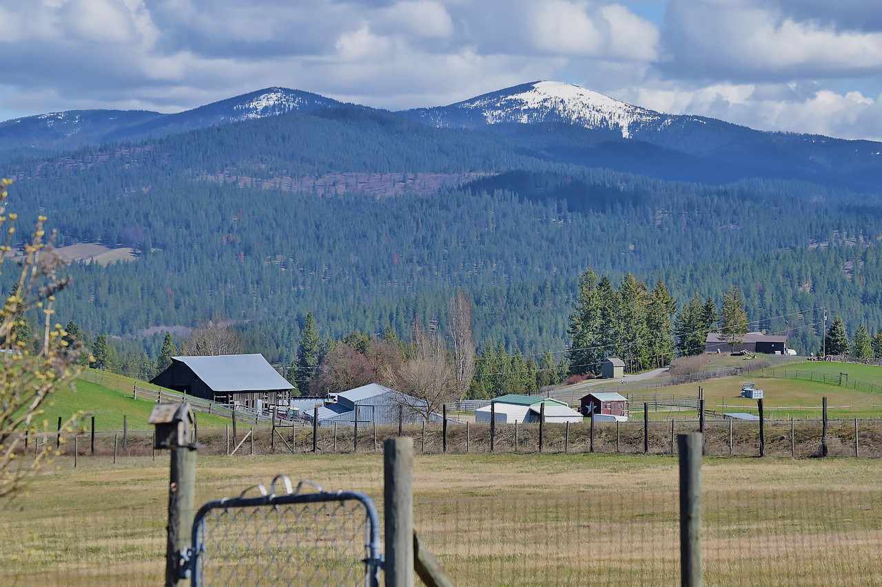 11726 East Day Mt Spokane Road Mead, WA 99021 - Photo 10 of 20