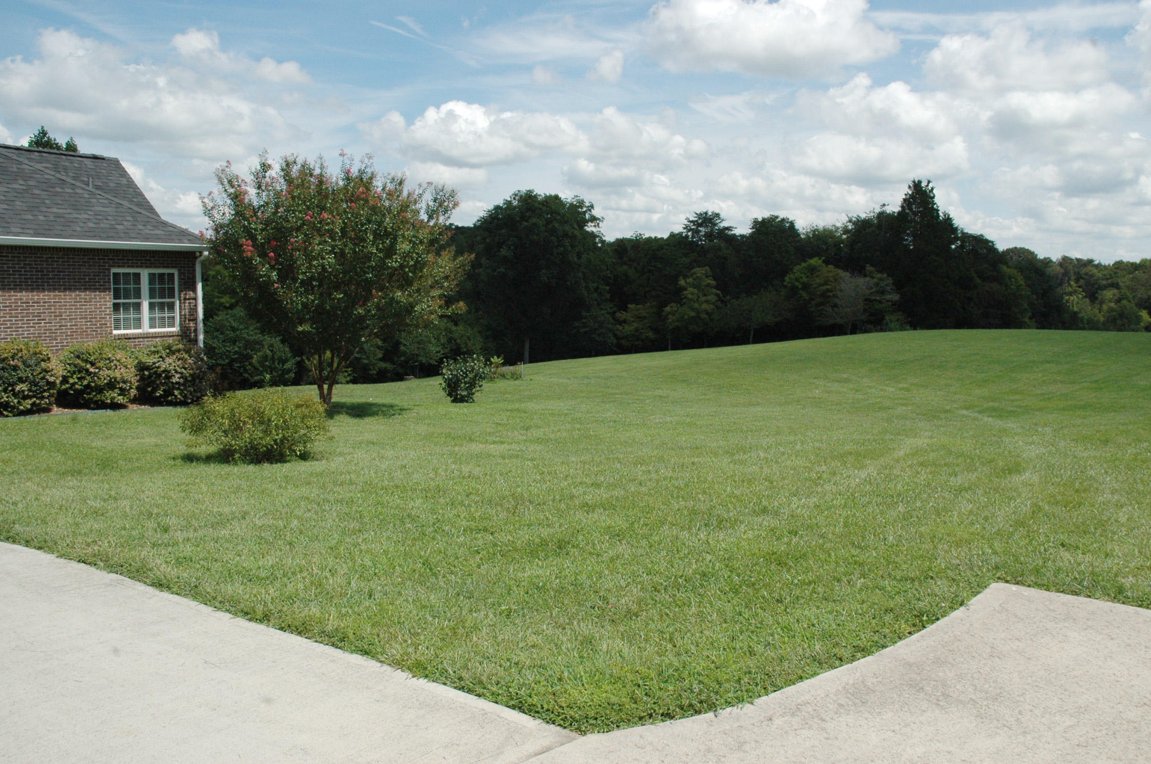 1230 Windridge Road Friendsville, TN 37737 - Photo 5 of 40 DSC_0001