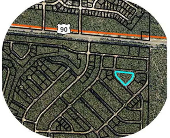 a view of a lush green forest