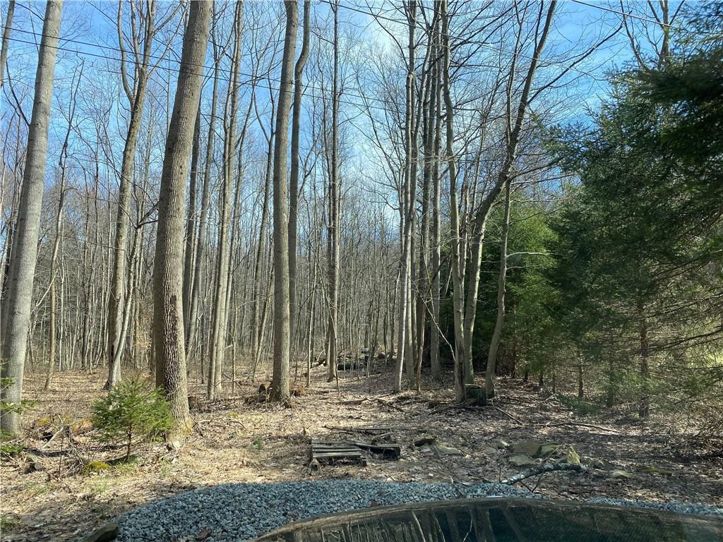 0 Radilla Road Latrobe, PA 15650 - Photo 2 of 4 Gallery Image 2