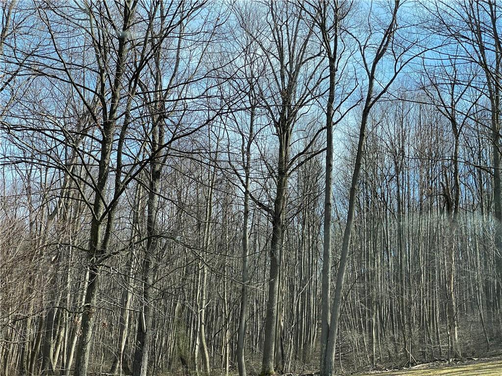 0 Radilla Road Latrobe, PA 15650 - Photo 4 of 4 Gallery Image 4