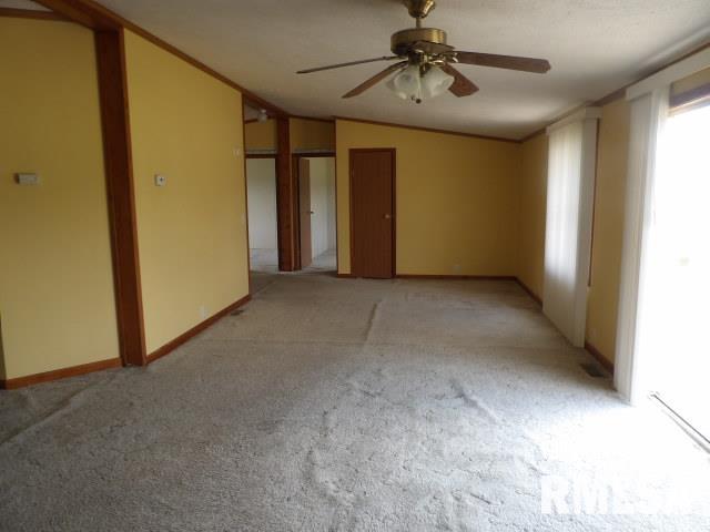 208 Briley Road Eldorado, IL 62930 - Photo 3 of 14