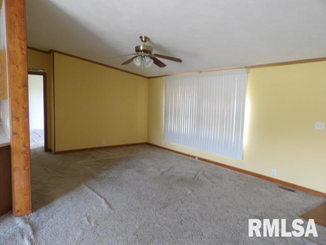 208 Briley Road Eldorado, IL 62930 - Photo 4 of 14