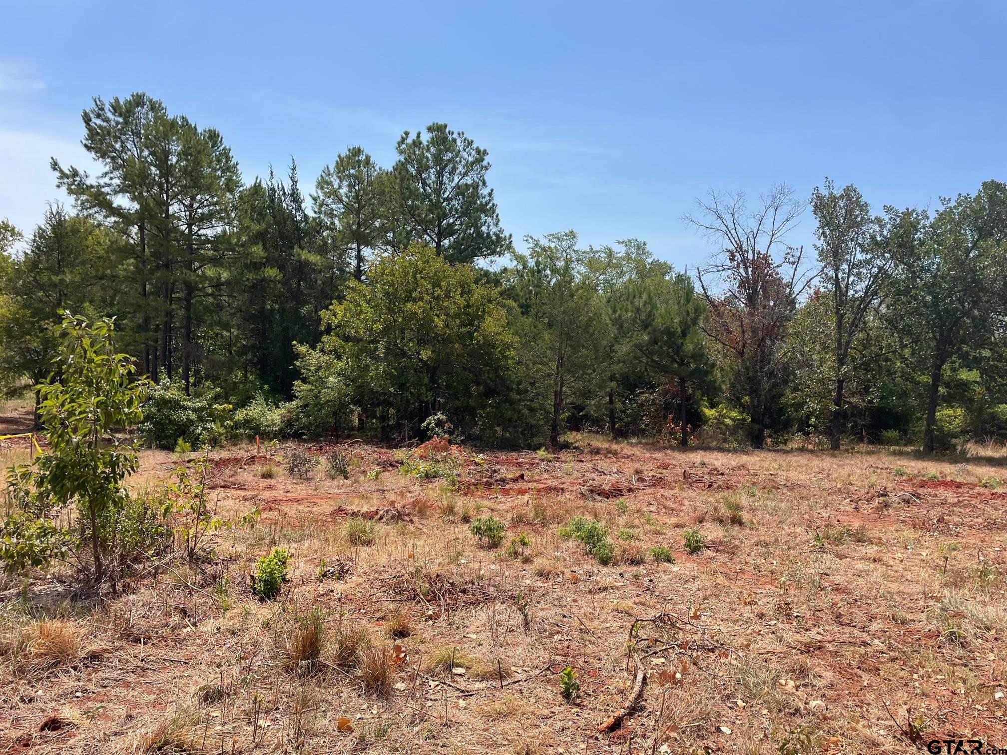 12339 Hackberry Holw Drive Tyler, TX 75706 - Photo 1 of 1 a view of a yard with trees in the background