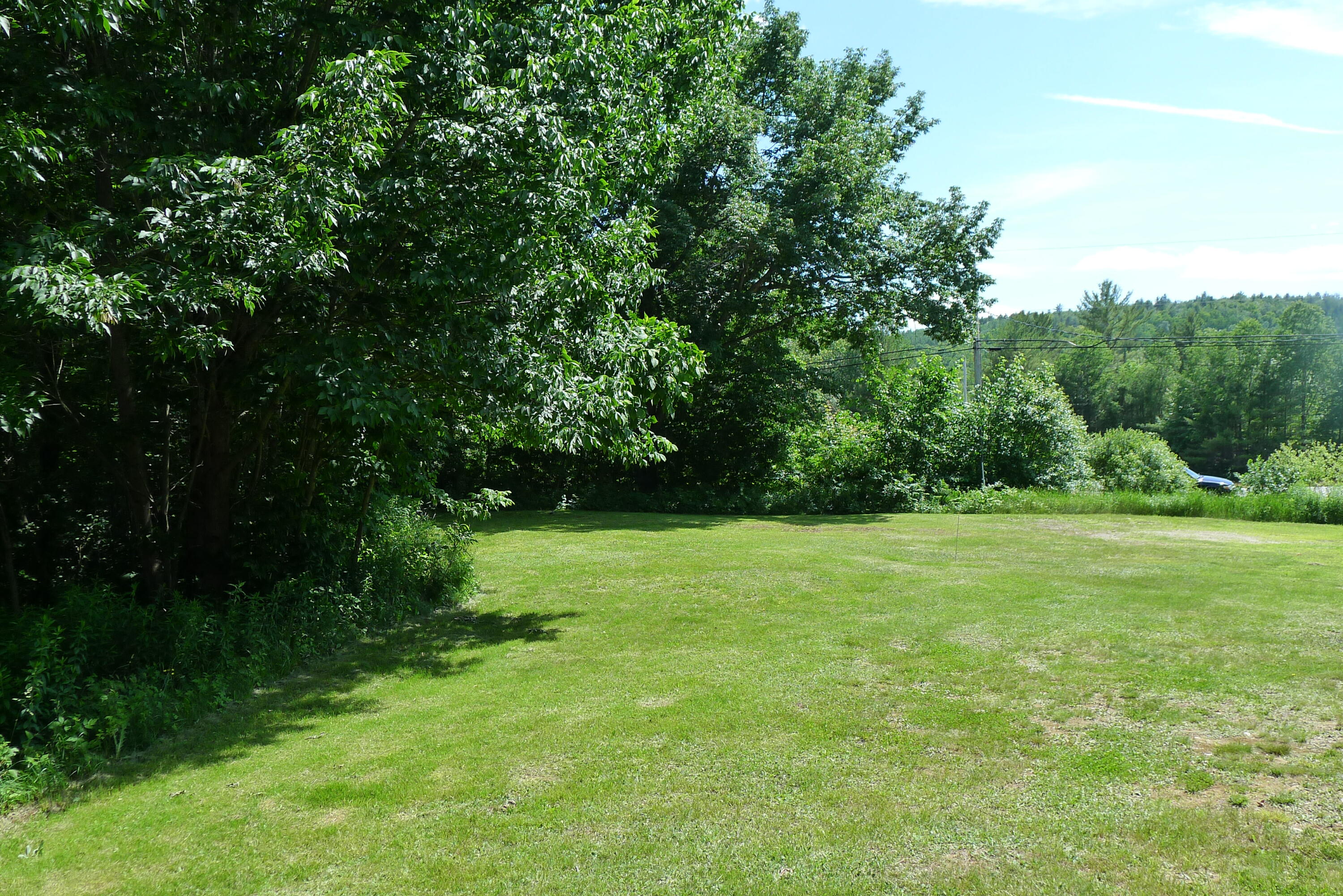 106 East Dixfield Road Dixfield, ME 04224 - Photo 30 of 45 Green, green, green!