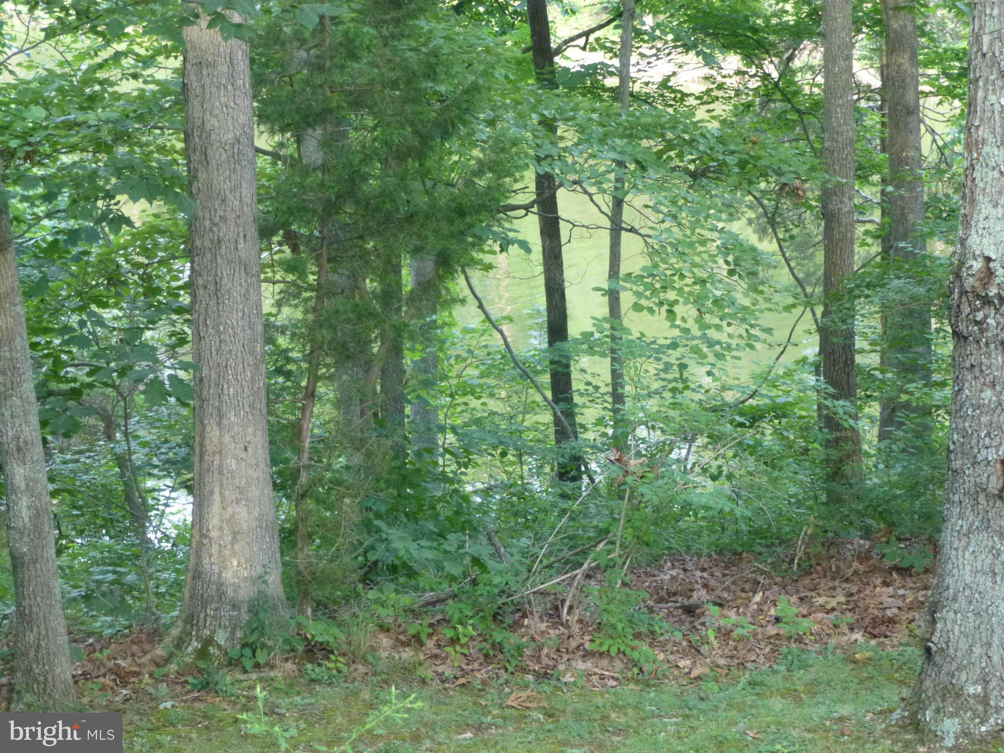 8501 Buckland Mill Road Gainesville, VA 20155 - Photo 2 of 15 View