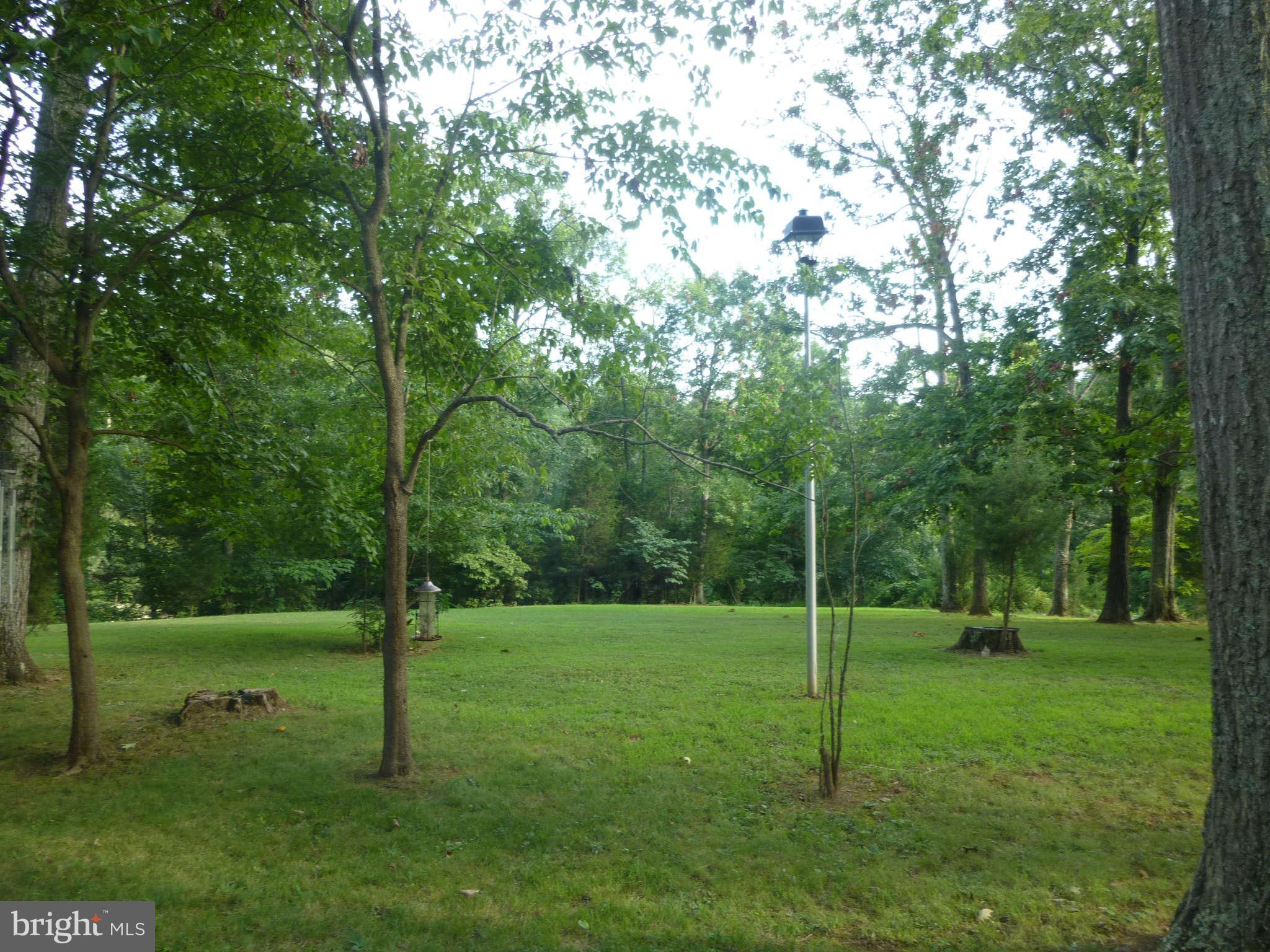 8501 Buckland Mill Road Gainesville, VA 20155 - Photo 3 of 15 View