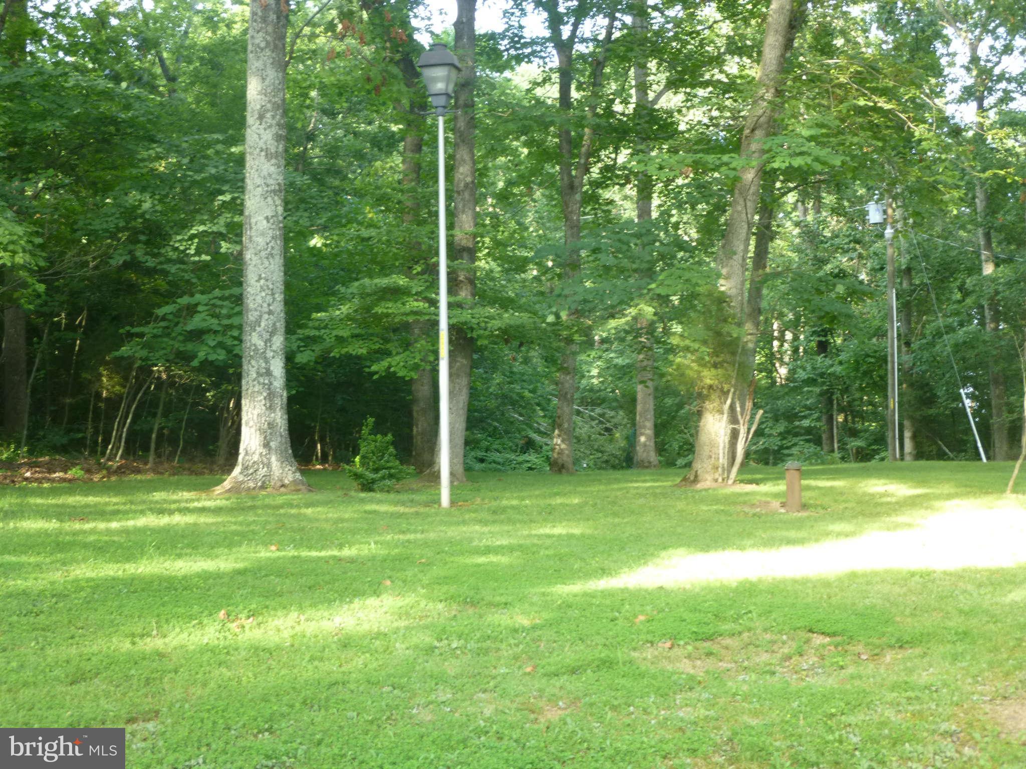 8501 Buckland Mill Road Gainesville, VA 20155 - Photo 4 of 15 View