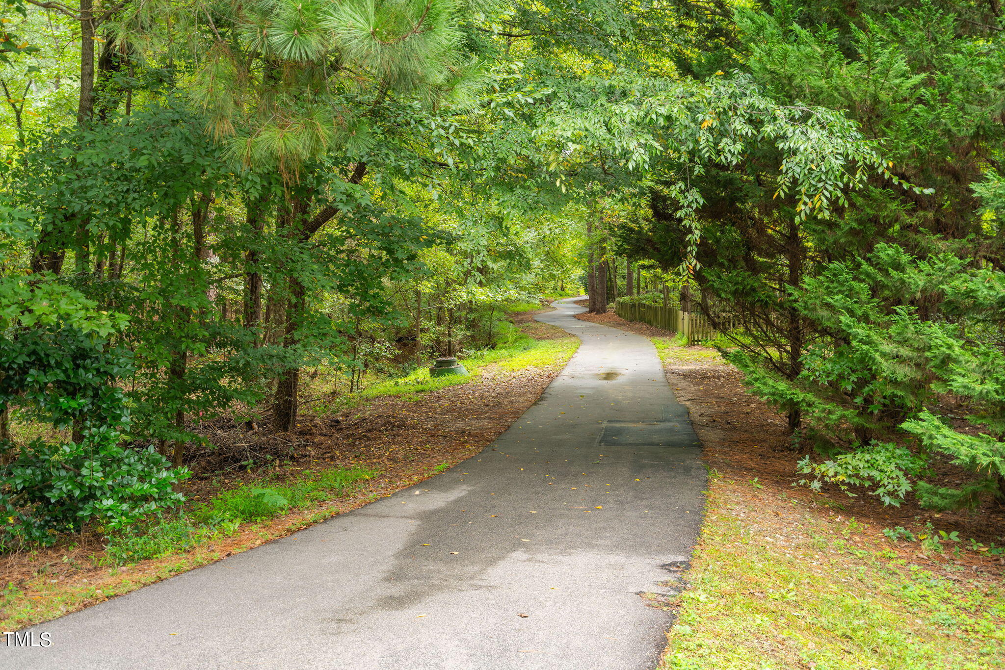 205 Glenmore Road Cary, NC 27519 - Photo 36 of 37 59-web-or-mls-205-glenmore-rd