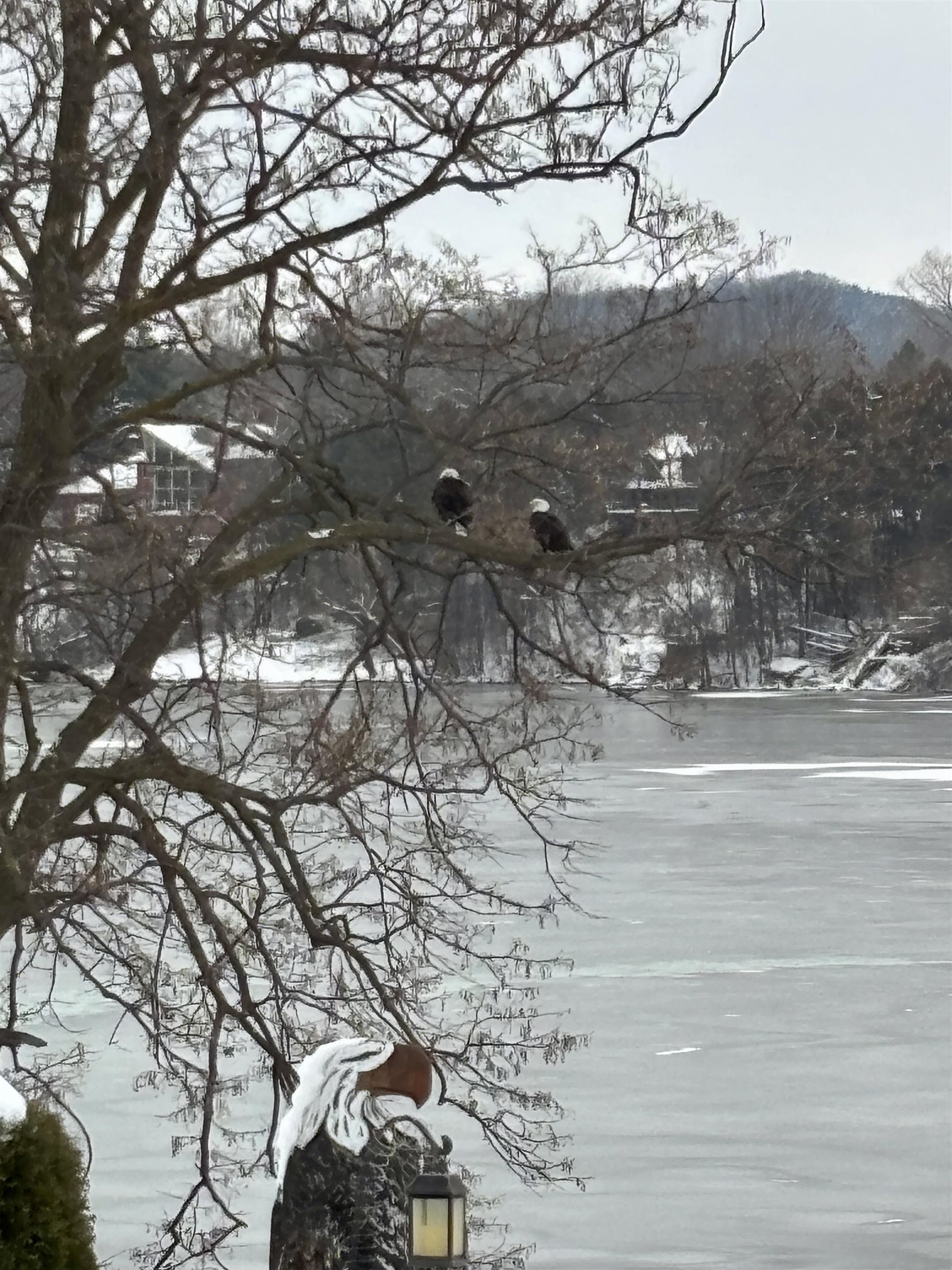 E12261 Timber Rdg Trail Prairie du Sac, WI 53578 - Photo 76 of 76