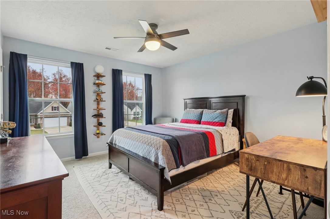 228 Stone Ridge Way Berea, OH 44017 - Photo 19 of 44 Bedroom with light carpet and a ceiling fan