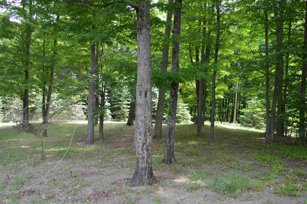 4583 Kenel Road Kalkaska, MI 49646 - Photo 6 of 52 1888568-5.JPG