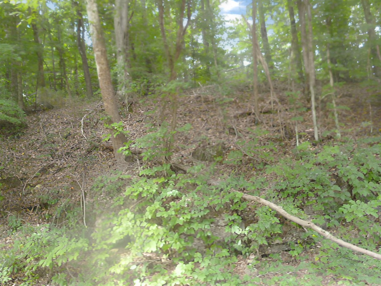 9333 Bold Springs Road McEwen, TN 37101 - Photo 2 of 5 Gallery Image 2