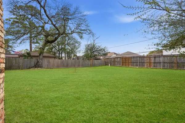 a view of a yard with a large tree and wooden fence