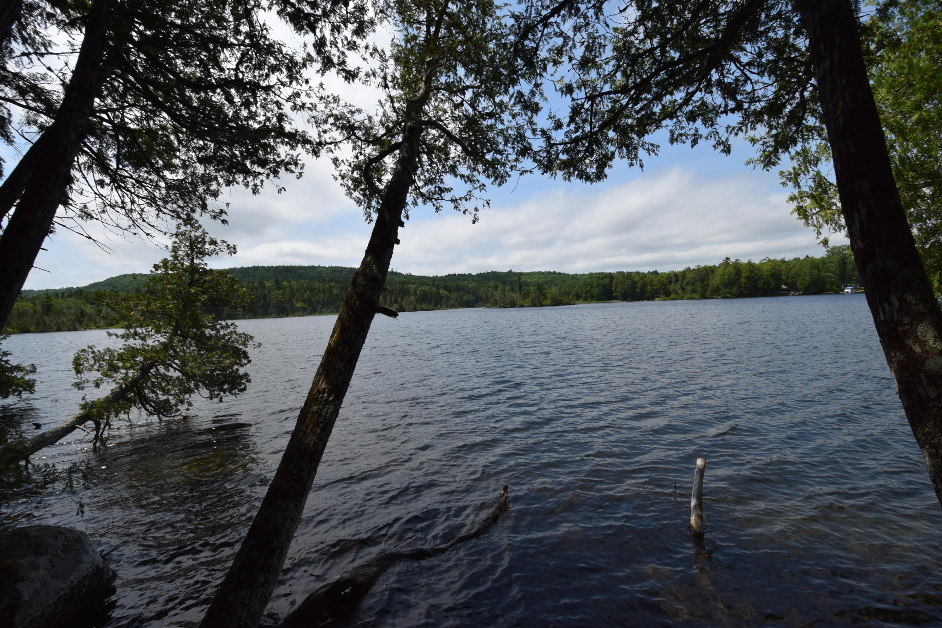 0 Chadwick Pt Road Weston, ME 04424 - Photo 15 of 20 50' of cove frontage...