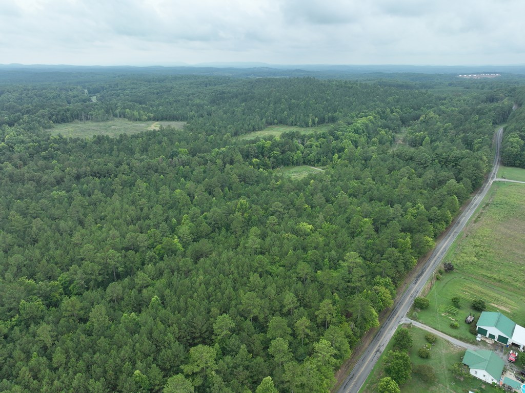 10 Ledford Road Cohutta, GA 30710 - Photo 5 of 7