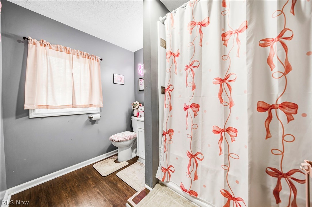 6208 Jefferson Road Ashtabula, OH 44004 - Photo 22 of 40 Gallery Image 22