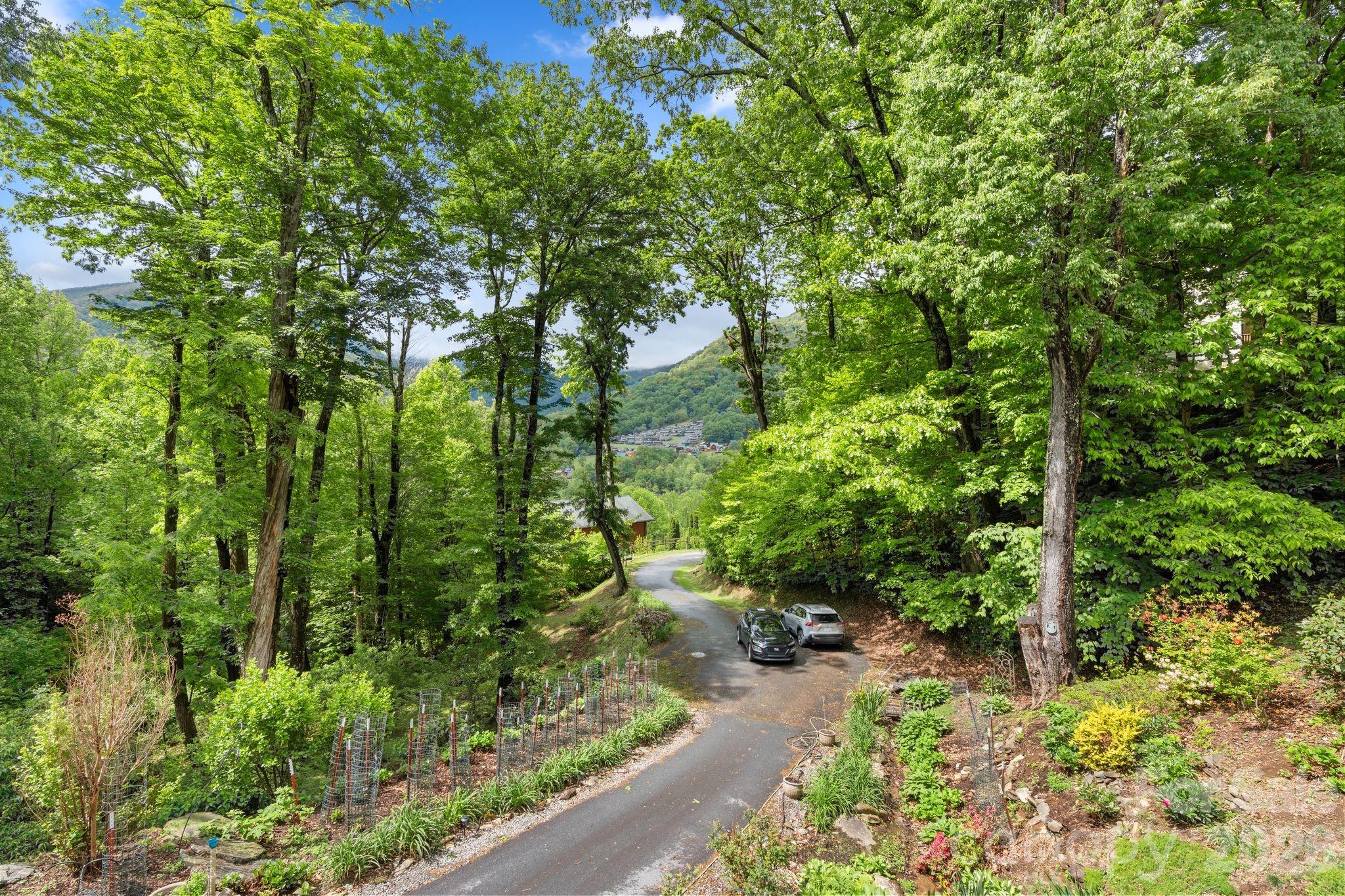 140 Slim Ridge Maggie Valley, NC 28751 - Photo 25 of 33 a picture of trees