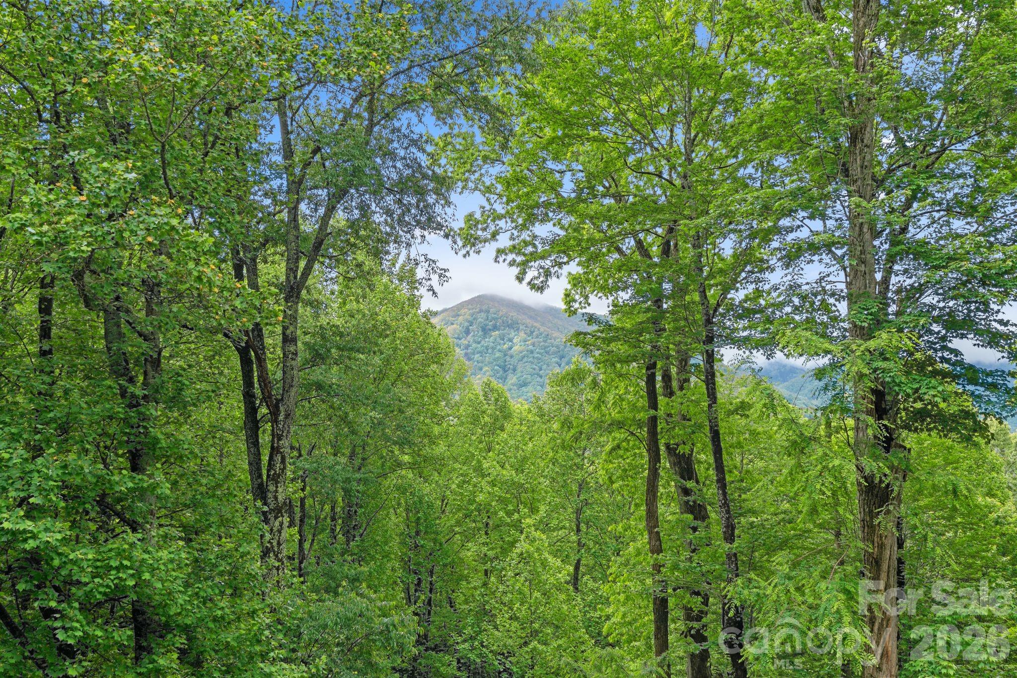 140 Slim Ridge Maggie Valley, NC 28751 - Photo 26 of 33 a backyard of a house with lots of green space