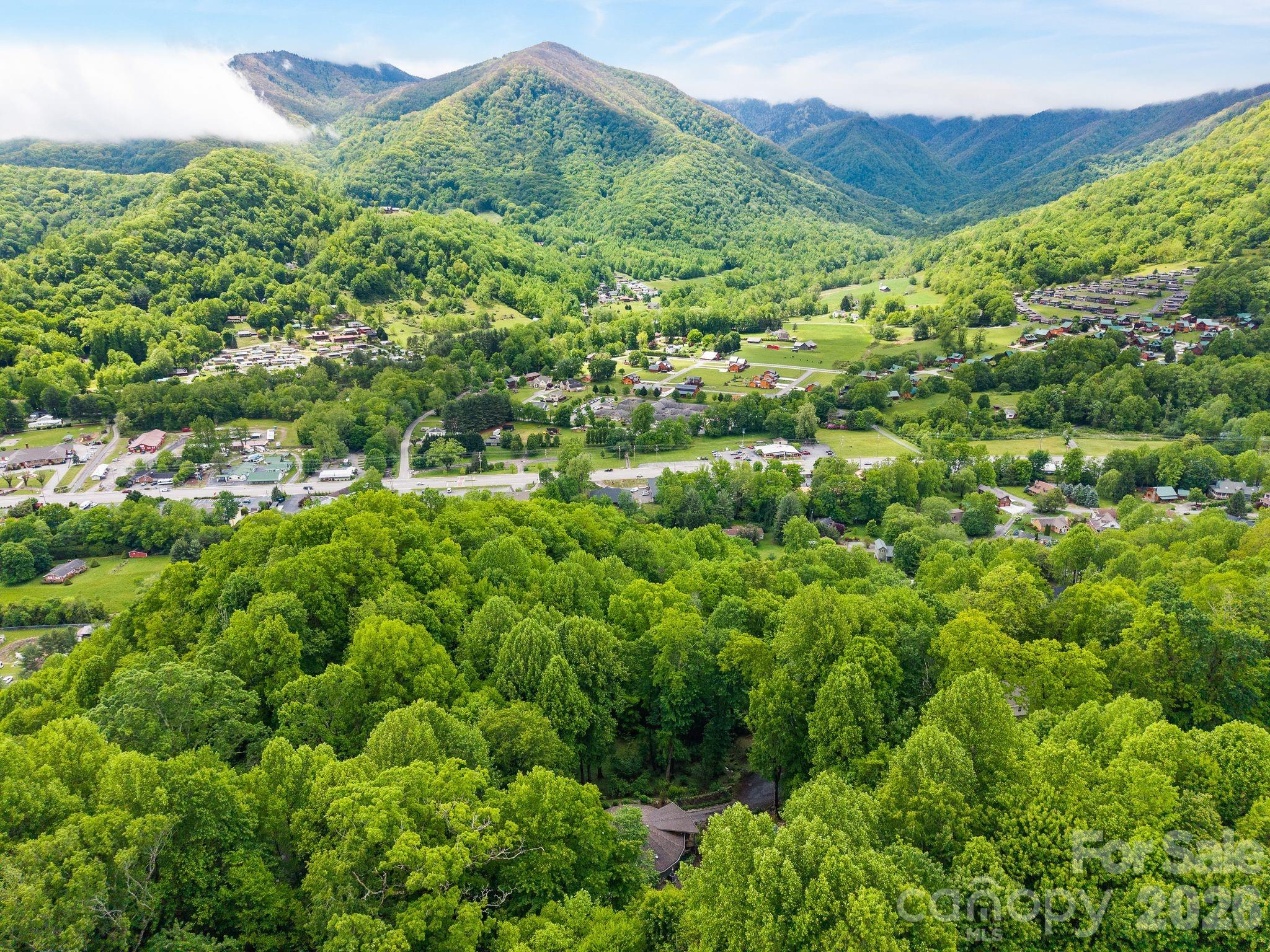140 Slim Ridge Maggie Valley, NC 28751 - Photo 27 of 33 a view of a lush green forest with houses