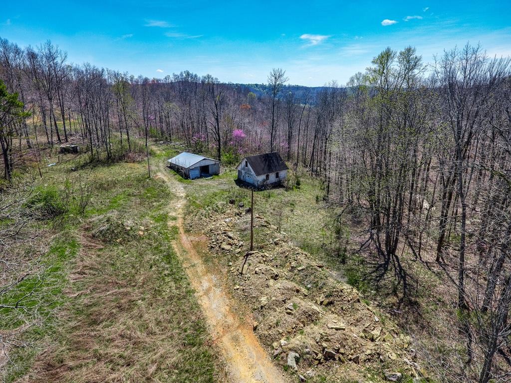 215 Clay Holman Road Sparta, TN 38583 - Photo 1 of 19 Gallery Image 1