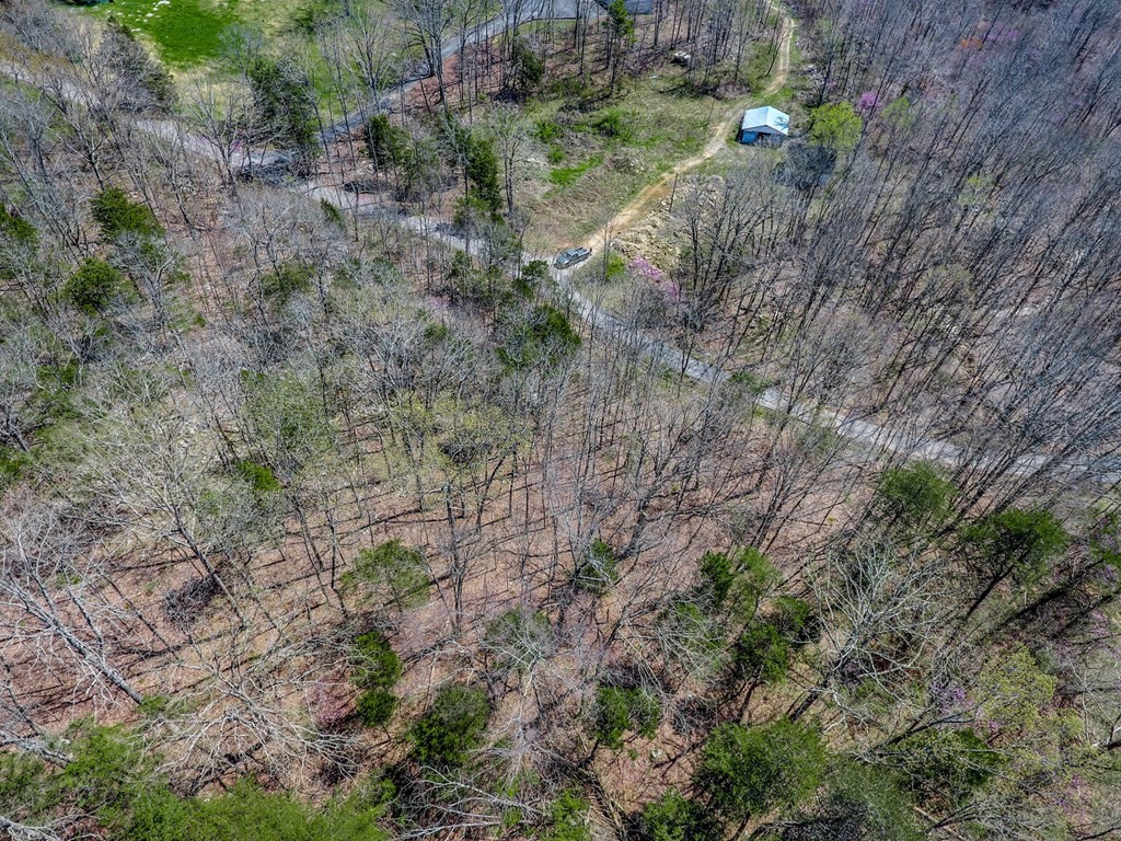 215 Clay Holman Road Sparta, TN 38583 - Photo 2 of 19 Gallery Image 2