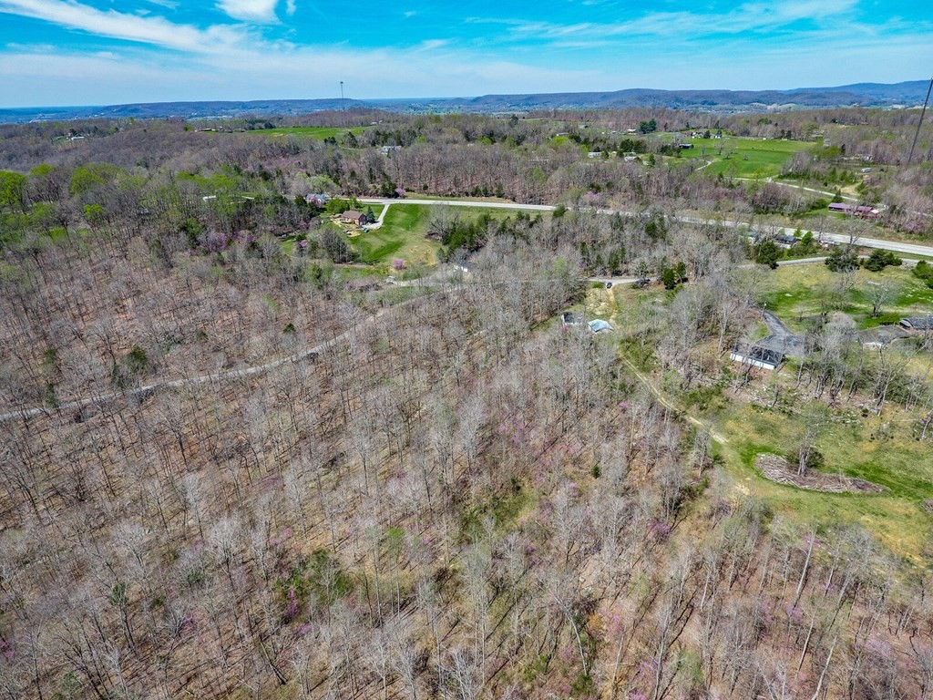 215 Clay Holman Road Sparta, TN 38583 - Photo 14 of 19 Gallery Image 14