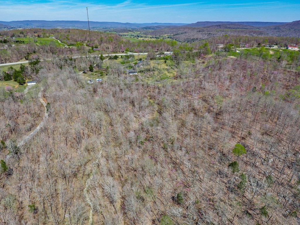 215 Clay Holman Road Sparta, TN 38583 - Photo 15 of 19 Gallery Image 15