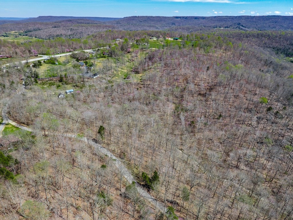 215 Clay Holman Road Sparta, TN 38583 - Photo 16 of 19 Gallery Image 16