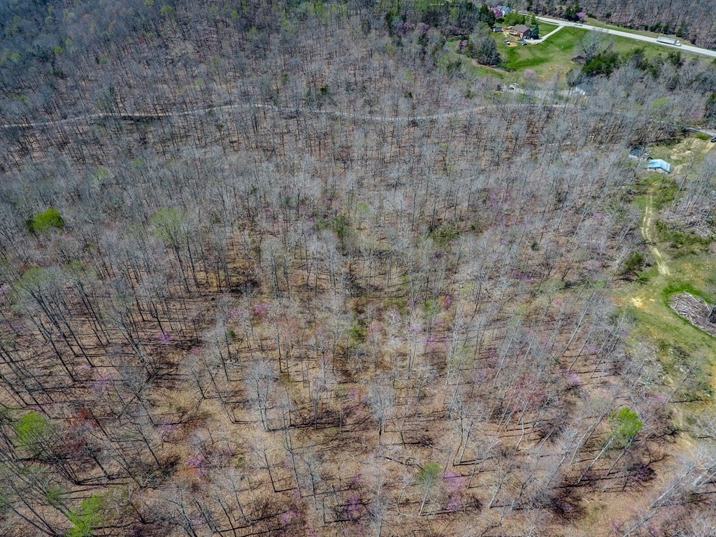 215 Clay Holman Road Sparta, TN 38583 - Photo 18 of 19 Gallery Image 18