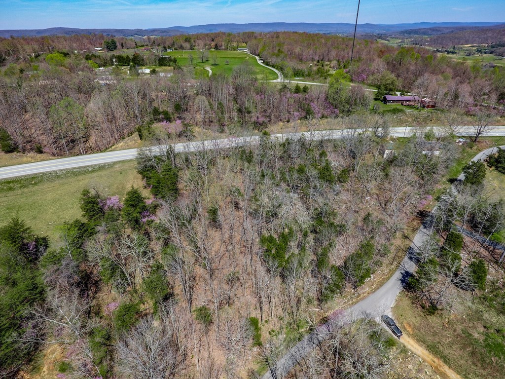 215 Clay Holman Road Sparta, TN 38583 - Photo 9 of 19 Gallery Image 9