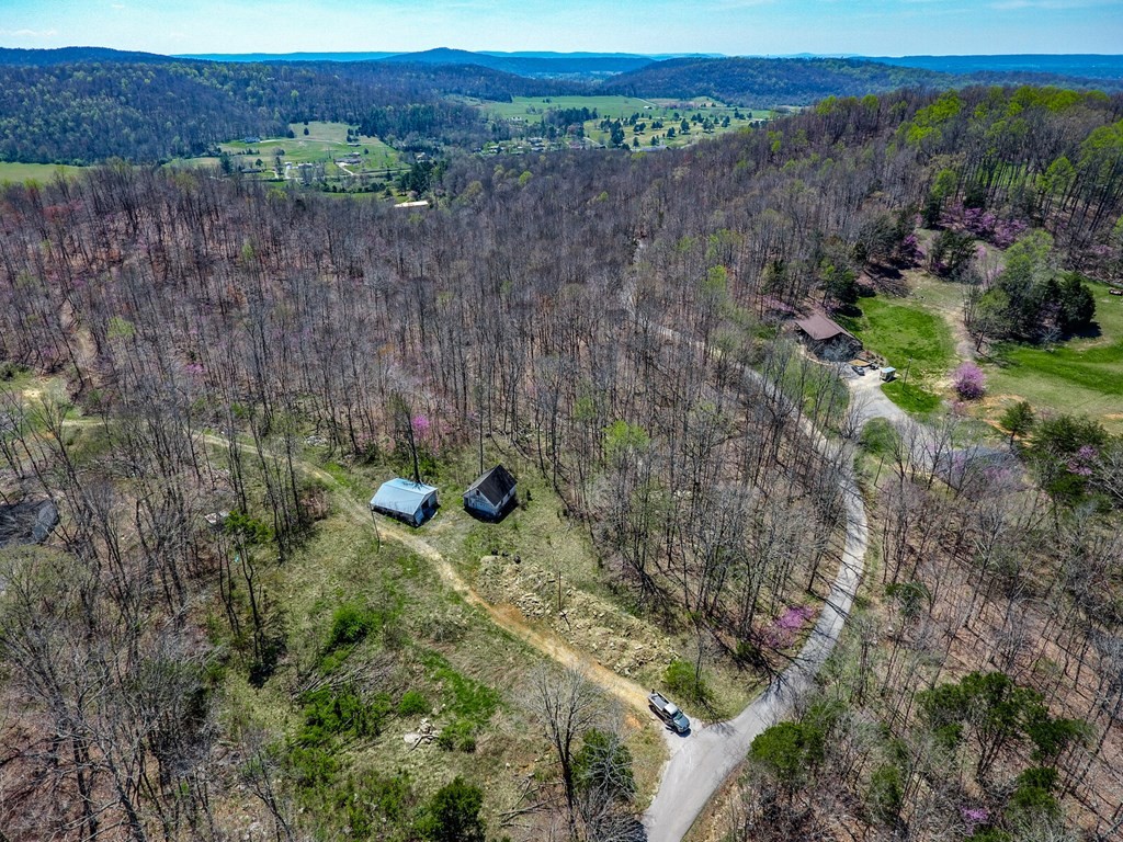 215 Clay Holman Road Sparta, TN 38583 - Photo 10 of 19 Gallery Image 10