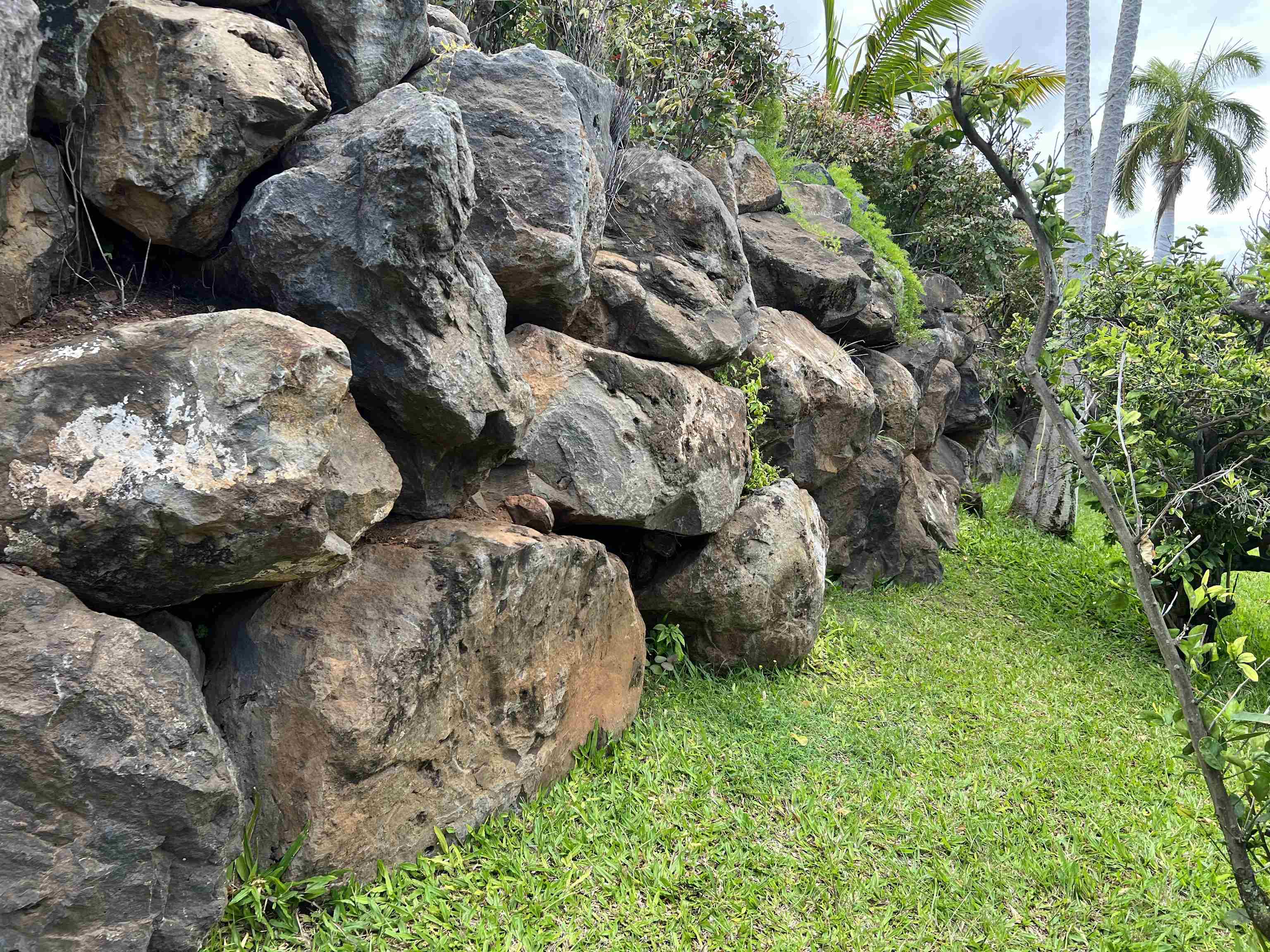 216 Kamakoi Loop Kihei, HI 96753 - Photo 29 of 30 a view of outdoor space and yard