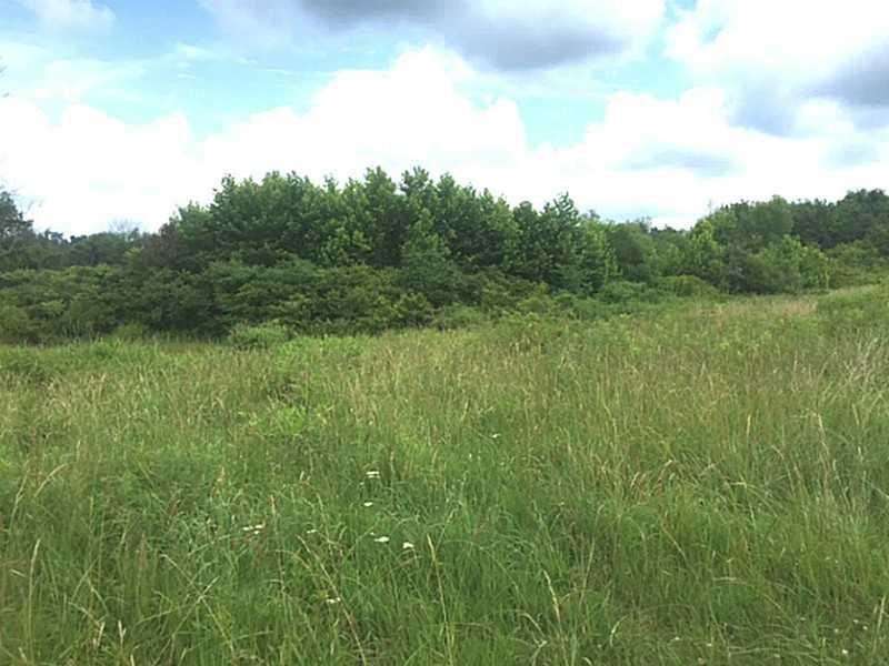 Land. 