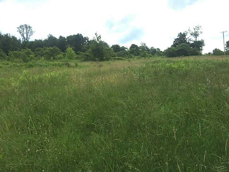 170 Strawn Road Perryopolis, PA 15473 - Photo 2 of 5 Land.