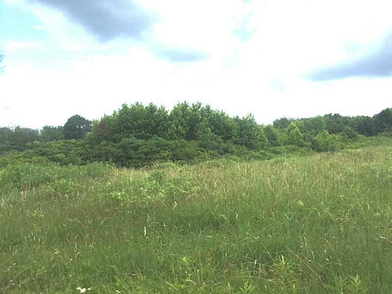 170 Strawn Road Perryopolis, PA 15473 - Photo 3 of 5 Land.