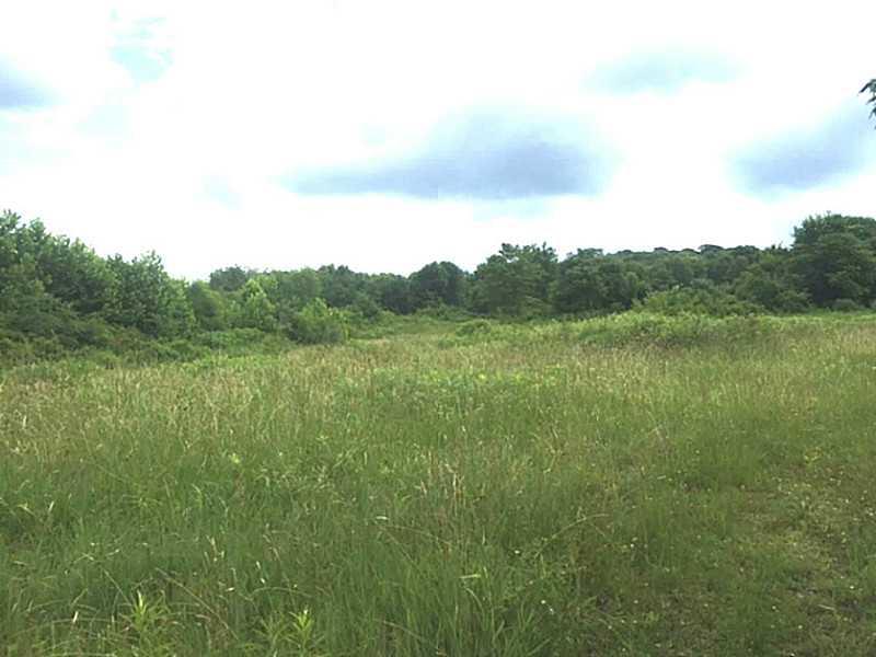 170 Strawn Road Perryopolis, PA 15473 - Photo 4 of 5 Land.