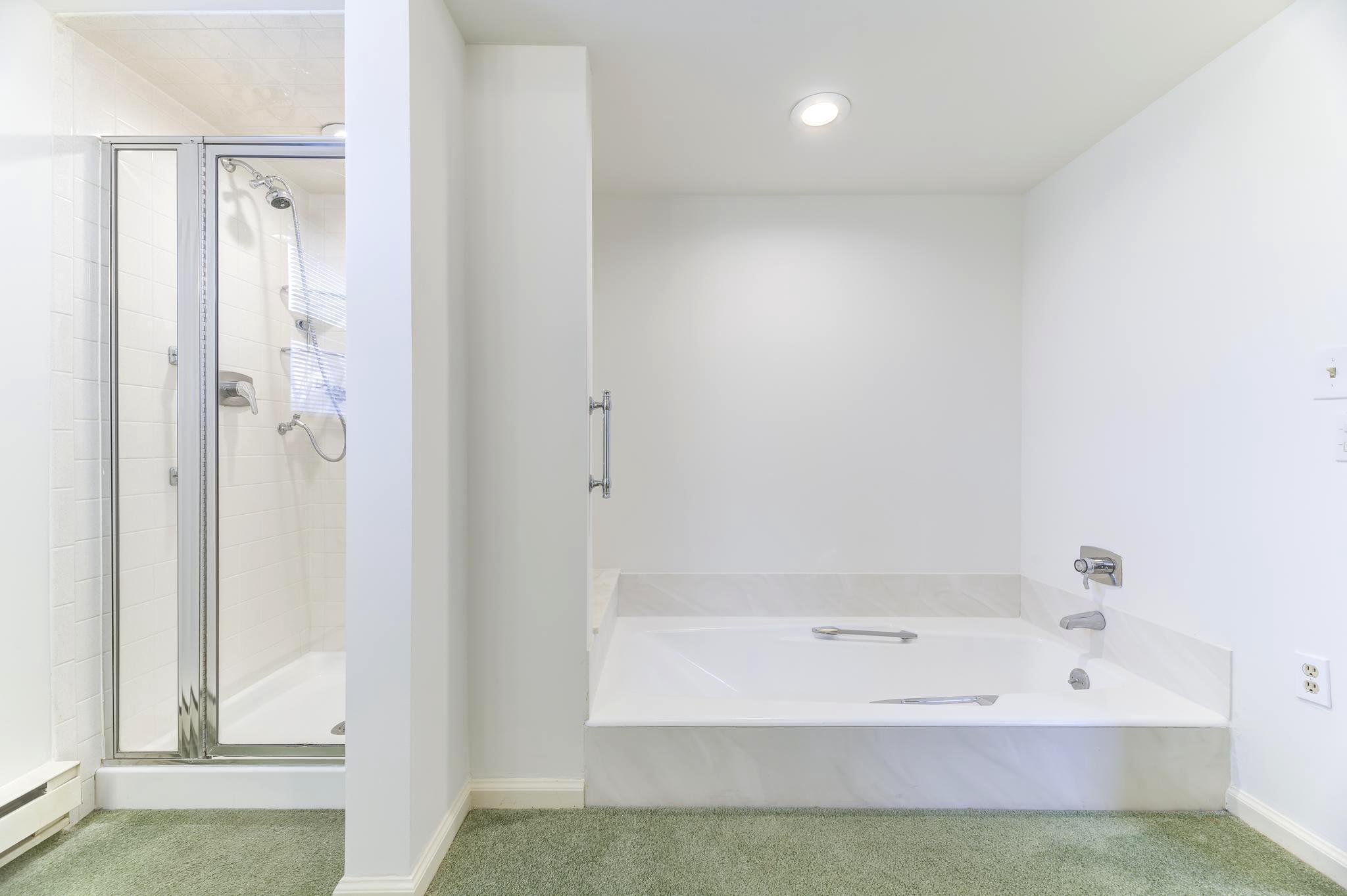321 Sharon Way Monroe Township, NJ 08831 - Photo 30 of 55 Shower and sunken tub