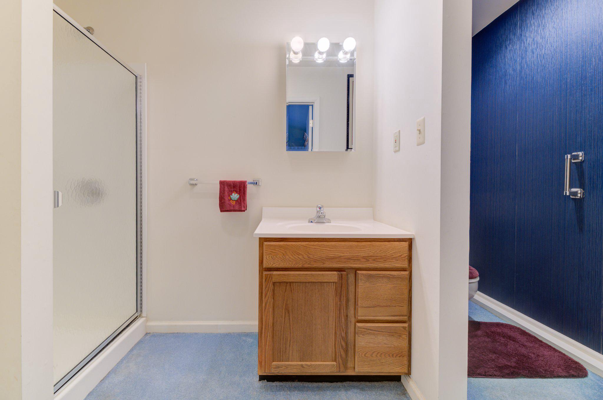 321 Sharon Way Monroe Township, NJ 08831 - Photo 42 of 55 Behind mirrored door . . .