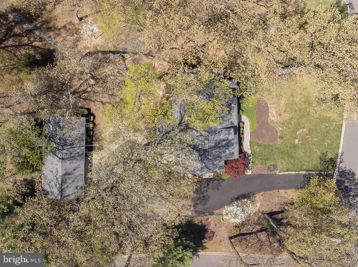 321 Sharon Way Monroe Township, NJ 08831 - Photo 49 of 55 Very private and leafy