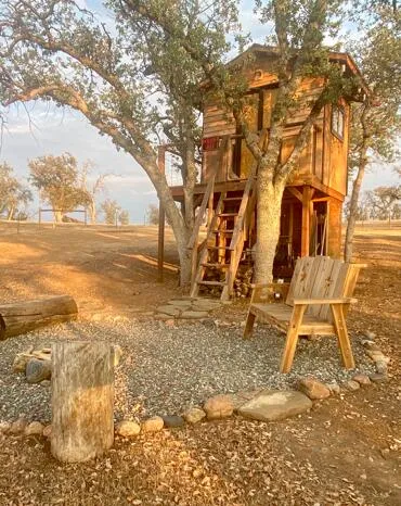 a view of a yard with an outdoor space