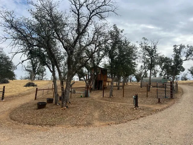 a view of park with trees
