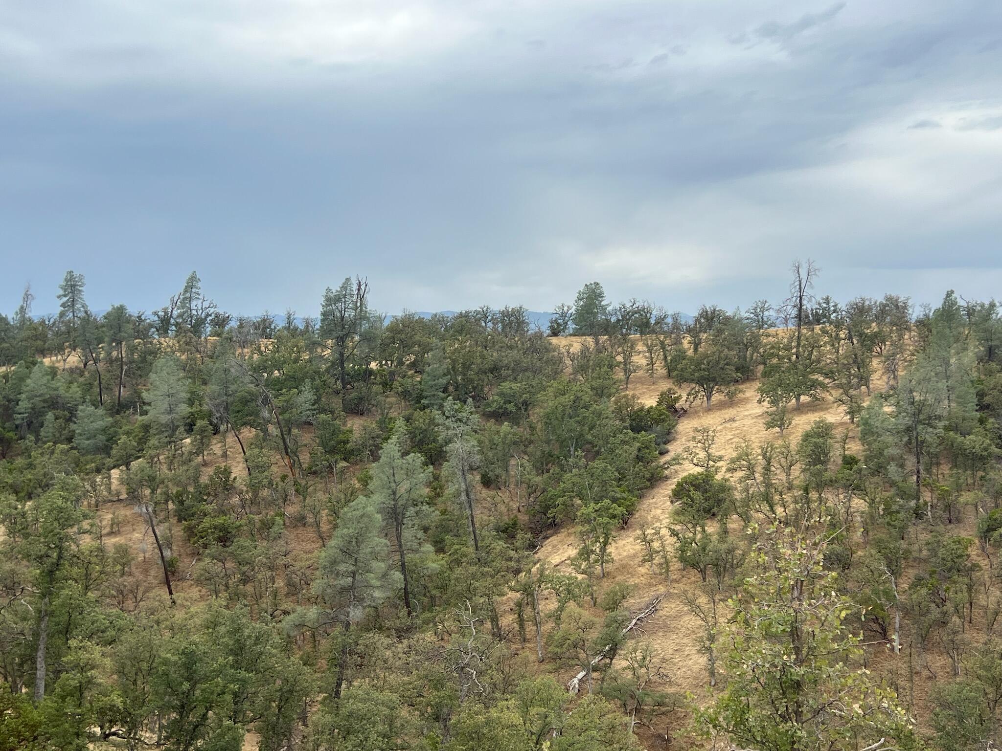 0 Cool Springs Red Bluff, CA 96080 - Photo 22 of 52 IMG_8659