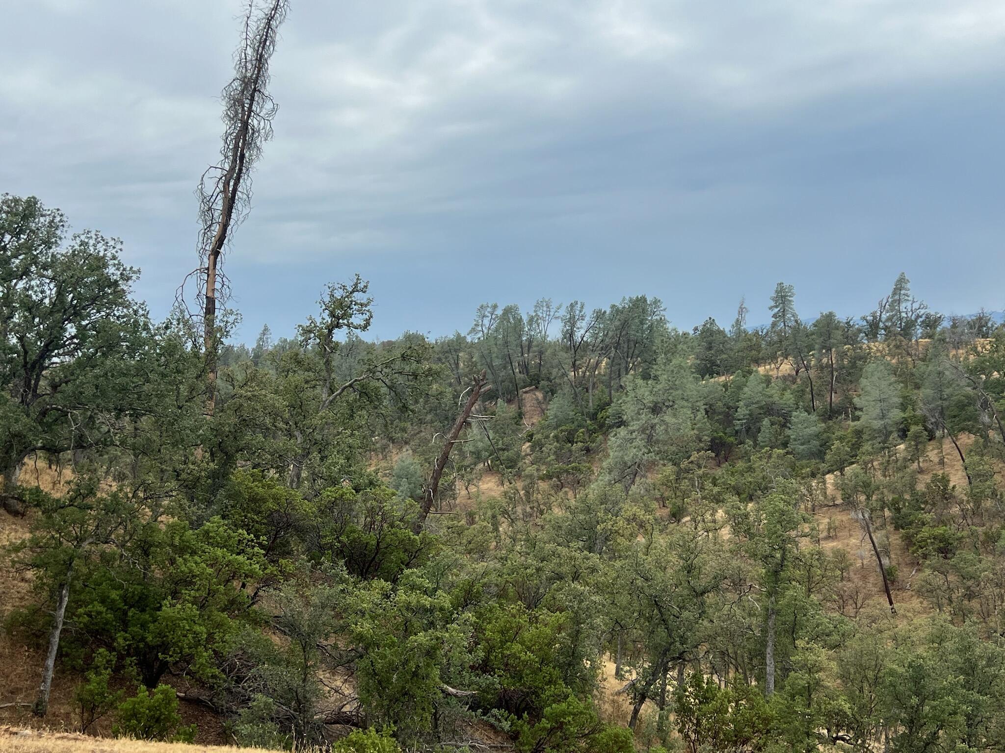 0 Cool Springs Red Bluff, CA 96080 - Photo 23 of 52 IMG_8661