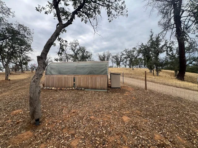 a view of a backyard with large trees
