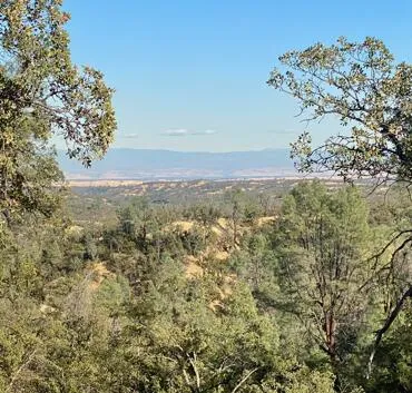 a view of outdoor space with trees