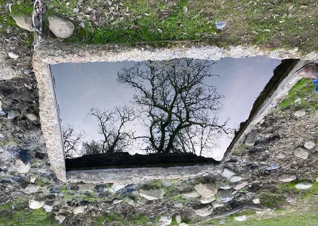 a view of a wooden wall with a tree