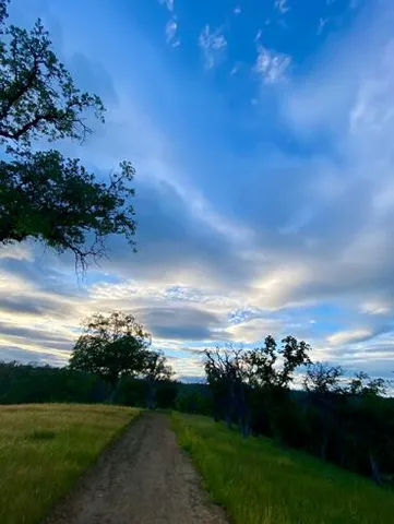 a view of outdoor space and yard
